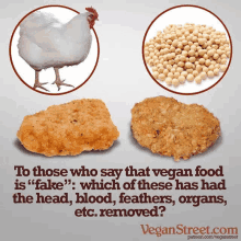 fake food vegan street chicken nuggets vegan food is fake