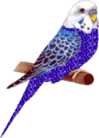 Blue Bird Sticker - Blue Bird Bird Stickers