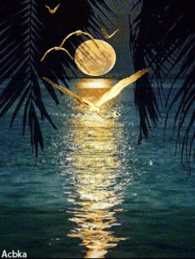 Buenas Noches Moon Light GIF - Buenas Noches Moon Light GIFs