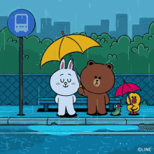 umbrella rain rainy day drops brown