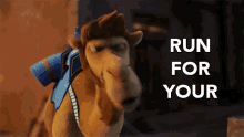 Run For Your Lives Get Out GIF - Run For Your Lives Get Out Flee GIFs