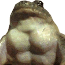 muscle frog