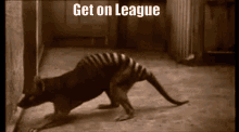 league of legends thylacine