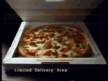 Dominos Pizza Pizza Day GIF - Dominos Pizza Pizza Day Commercial GIFs