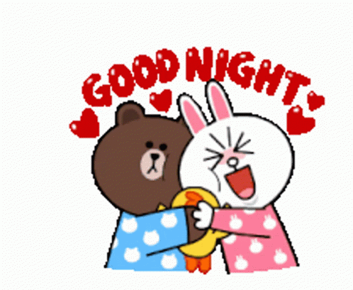 Goodnight Brown And Cony GIF 