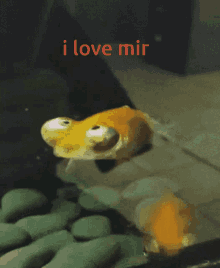 I Love Mir GIF - I Love Mir Mir GIFs