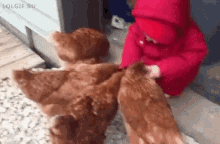Baby Feeding GIF - Baby Feeding Chickens GIFs