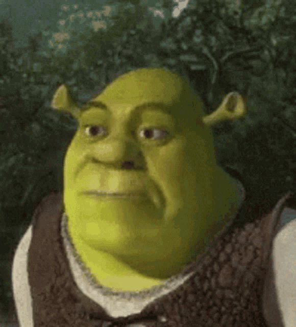 Sushichaeng Shrek GIF - Sushichaeng Shrek Shrek Meme GIFs.