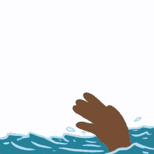 american needs