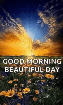 Good Morning Beautiful Day GIF - Good Morning Beautiful Day Sunrise GIFs