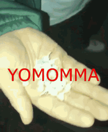Friend Yomomma GIF - Friend Yomomma GIFs