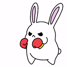 rabbit bunny white lovely boxing