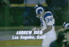 Rams Andy Reid GIF - Rams Andy Reid Football GIFs