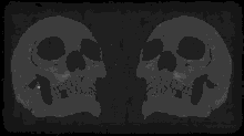 Skulls GIF - Skulls GIFs