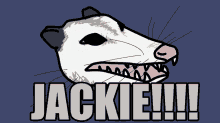 Jackie Possum GIF - Jackie Possum Trash GIFs