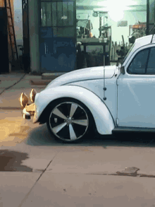 Beverly Hills Car GIF - Beverly Hills Car Beetle Car GIFs