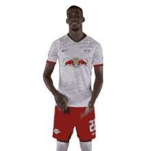 nordi rb