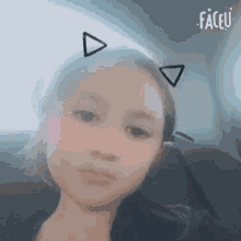 Cat Meow GIF - Cat Meow Filter GIFs