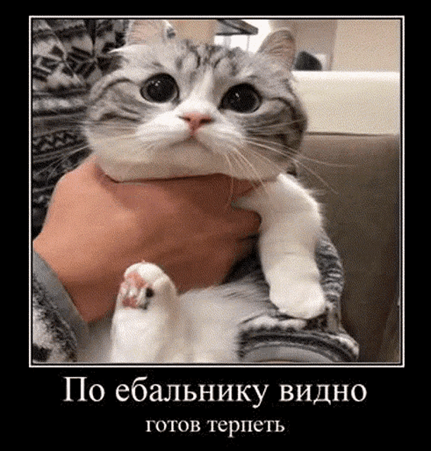 khockra4434-khockra.gif