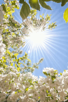 Nice Day Our Earth GIF - Nice Day Our Earth Nature GIFs