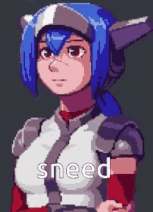 Sneed Crosscode GIF - Sneed Crosscode GIFs