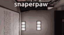 Snapperpaw Snaperpaw GIF - Snapperpaw Snap Snaperpaw GIFs