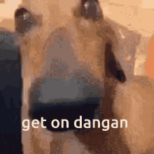 Get On Dangan Danganronpa GIF - Get On Dangan Danganronpa Dog GIFs
