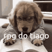 Tiago Thiago GIF - Tiago Thiago Rpg Do Tiago GIFs