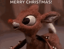 Holiday Rudolph The Red Nosed Reindeer GIF - Holiday Rudolph The Red Nosed Reindeer Adorable GIFs
