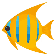 fish herbivorous