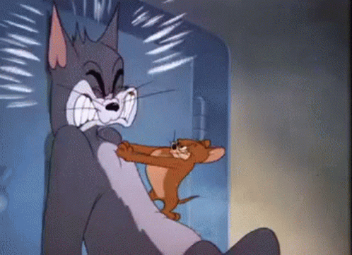 Tom And Jerry Slam GIF - Tom And Jerry Slam Mouse GIFs