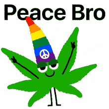 peace bro hippie peace and love peace chill