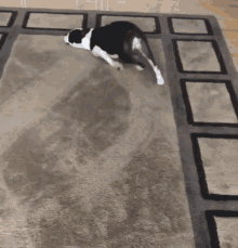 Dog Drag GIF - Dog Drag Vacuum Cleaner GIFs