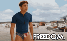 Freedom GIF - Freedom Zac Efron Baywatch GIFs