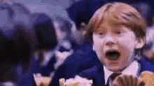 Scream Harry Potter GIF - Scream Harry Potter Panic GIFs
