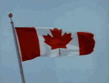 canada canadian flag canada day