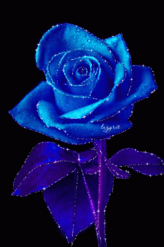 Rose GIF - Blue Rose - Discover & Share GIFs