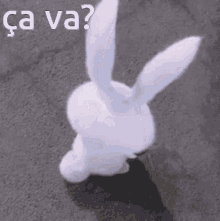Bunny Cute GIF - Bunny Cute Carrot GIFs