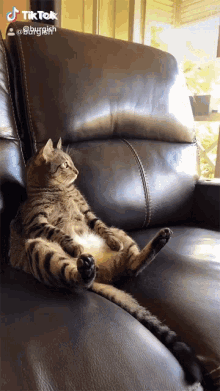 Relax Chill GIF - Relax Chill Rest GIFs
