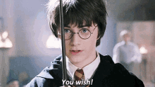 Harry Harrypotter GIF - Harry Harrypotter Wish GIFs