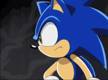 Sonic The Hedgehog Sonic X GIF - Sonic The Hedgehog Sonic X Sonic Shudder GIFs