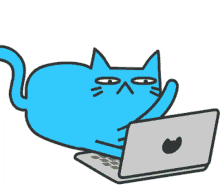 Cat Crazt Blue Cat GIF - Cat Crazt Blue Cat Work GIFs
