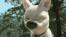 Disney Bolt GIF - Disney Bolt Super Dog GIFs