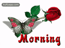 Good Morning.Gif GIF - Good Morning Wishing Butterfly GIFs