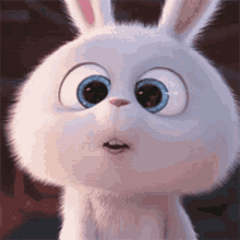Snowball Rabbit GIF - Snowball Rabbit Cute GIFs