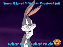 facebook jail post funny animal bugs bunny bugs