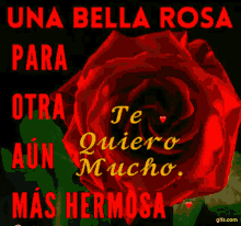Bella Rosa Rosa Hermosa GIF - Bella Rosa Rosa Hermosa GIFs
