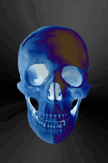 Skull Calavera GIF - Skull Calavera Dia De Los Muertos GIFs
