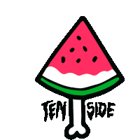 Tenside Tensidemusic Sticker - Tenside Tensidemusic Melon Stickers