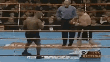 Boxing Knockout GIF - Boxing Knockout Mike Tyson GIFs